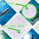 Dolphins Wall Calendar 2026