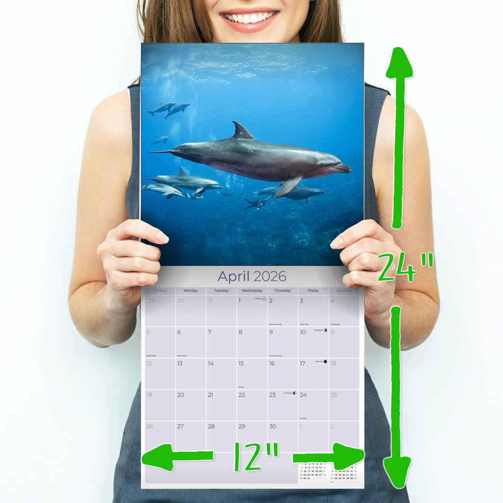 Dolphins Wall Calendar 2026