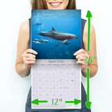 Dolphins Wall Calendar 2026