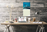 Dolphins Wall Calendar 2026