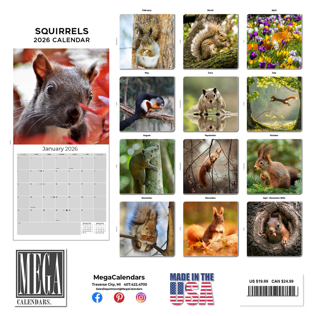 Squirrels Wall Calendar 2026