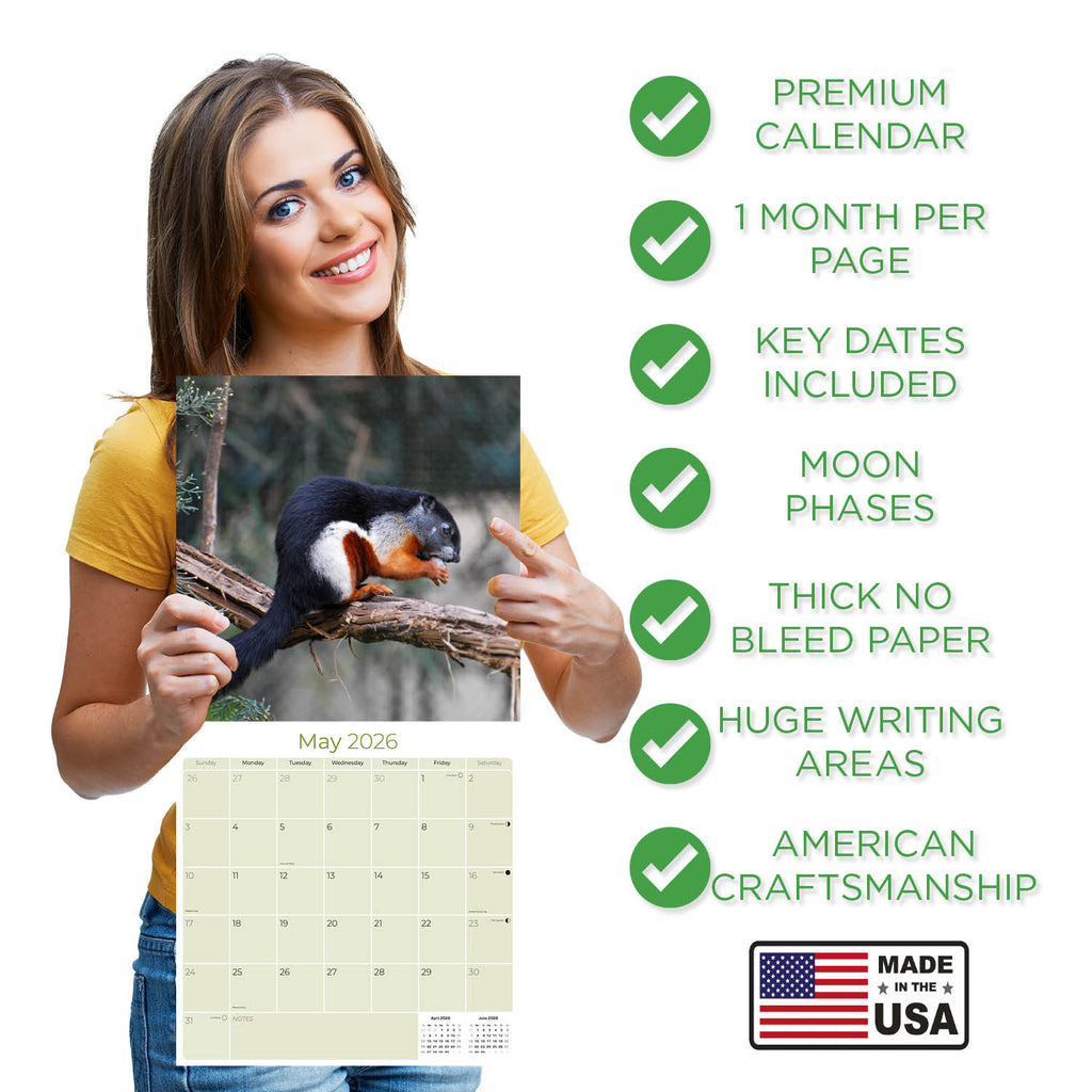 Squirrels Wall Calendar 2026