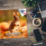 Squirrels Wall Calendar 2026