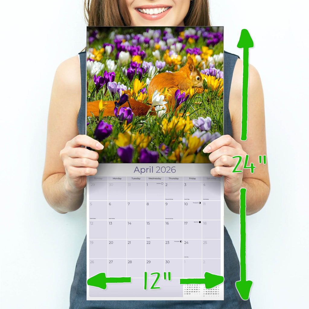 Squirrels Wall Calendar 2026