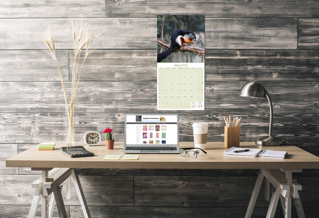 Squirrels Wall Calendar 2026