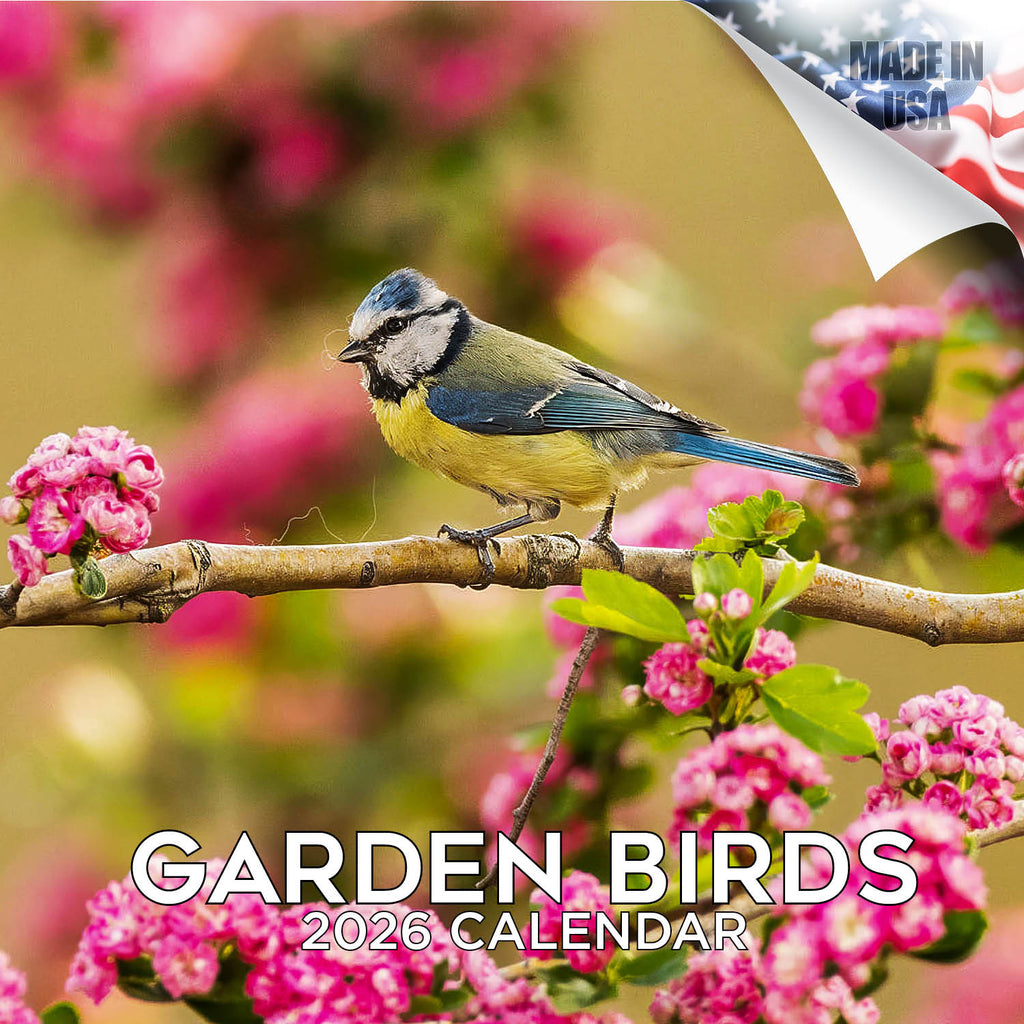 Garden Birds Wall Calendar 2026