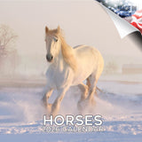 Horses Wall Calendar 2026