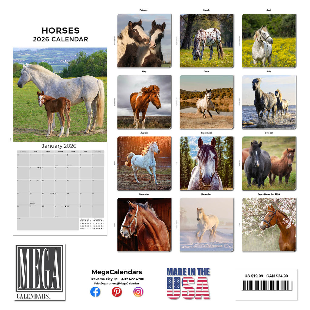Horses Wall Calendar 2026