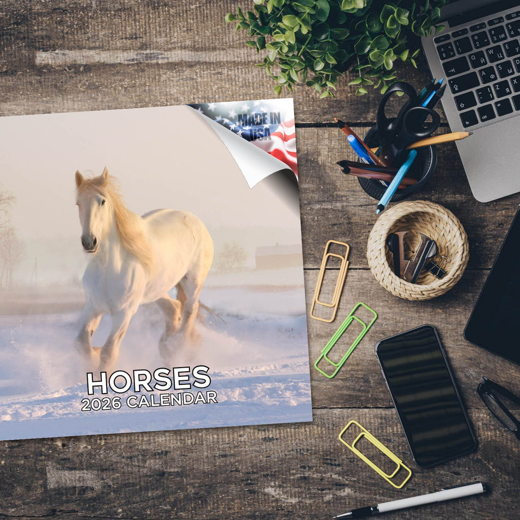 Horses Wall Calendar 2026