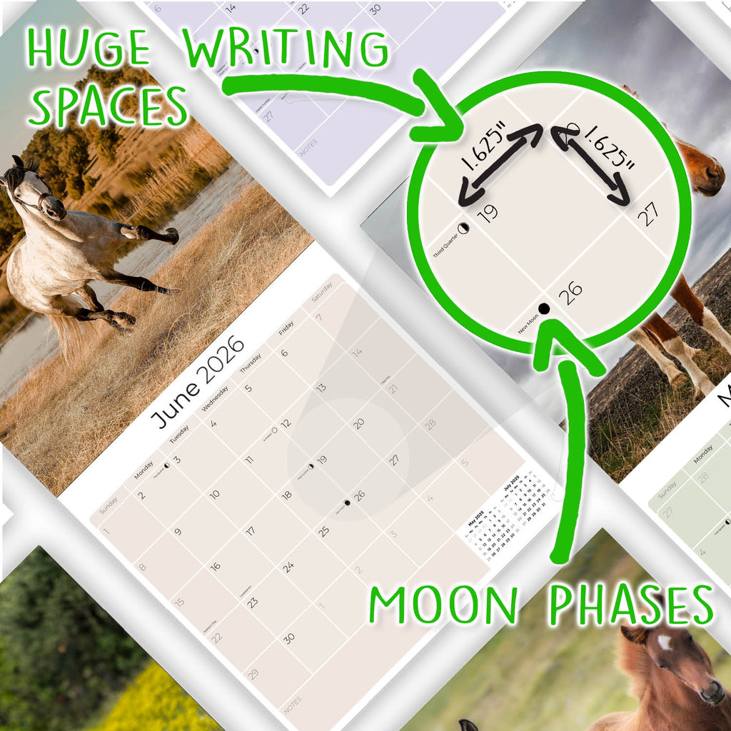 Horses Wall Calendar 2026