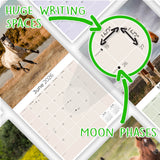 Horses Wall Calendar 2026