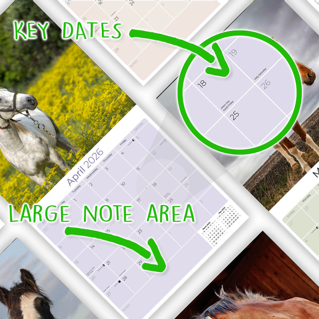 Horses Wall Calendar 2026