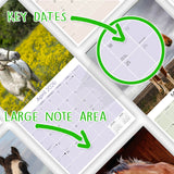 Horses Wall Calendar 2026