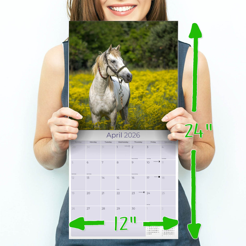 Horses Wall Calendar 2026