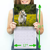 Horses Wall Calendar 2026