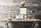 Horses Wall Calendar 2026