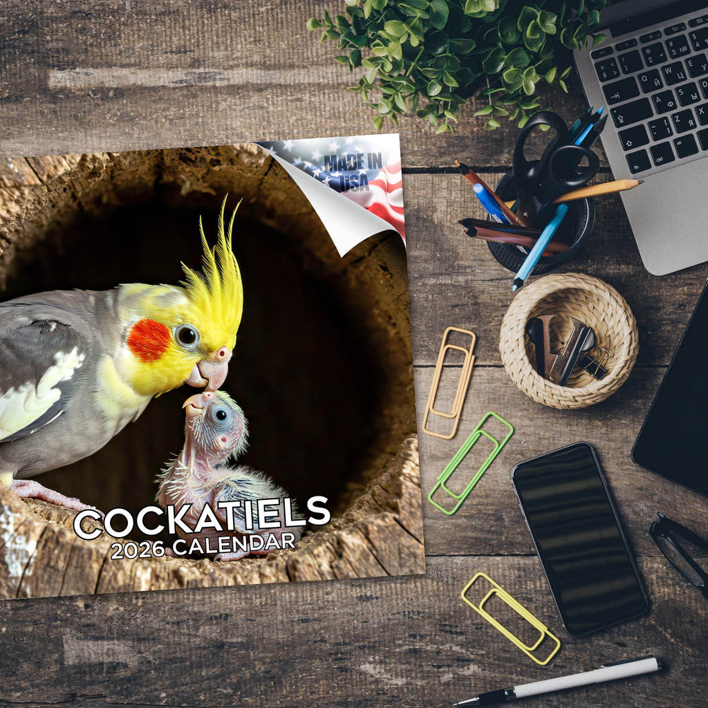 Cockatiels Wall Calendar 2026