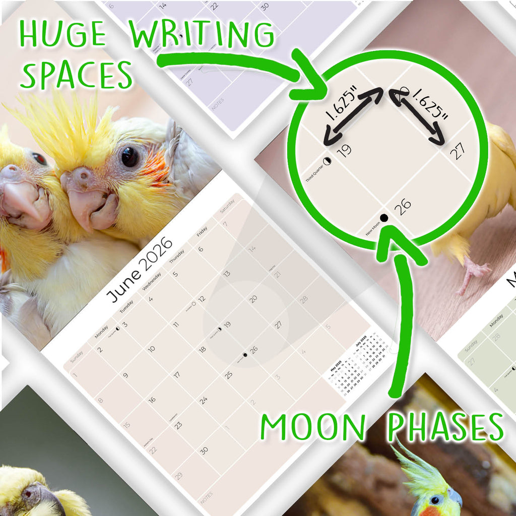 Cockatiels Wall Calendar 2026