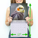 Cockatiels Wall Calendar 2026