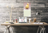 Cockatiels Wall Calendar 2026