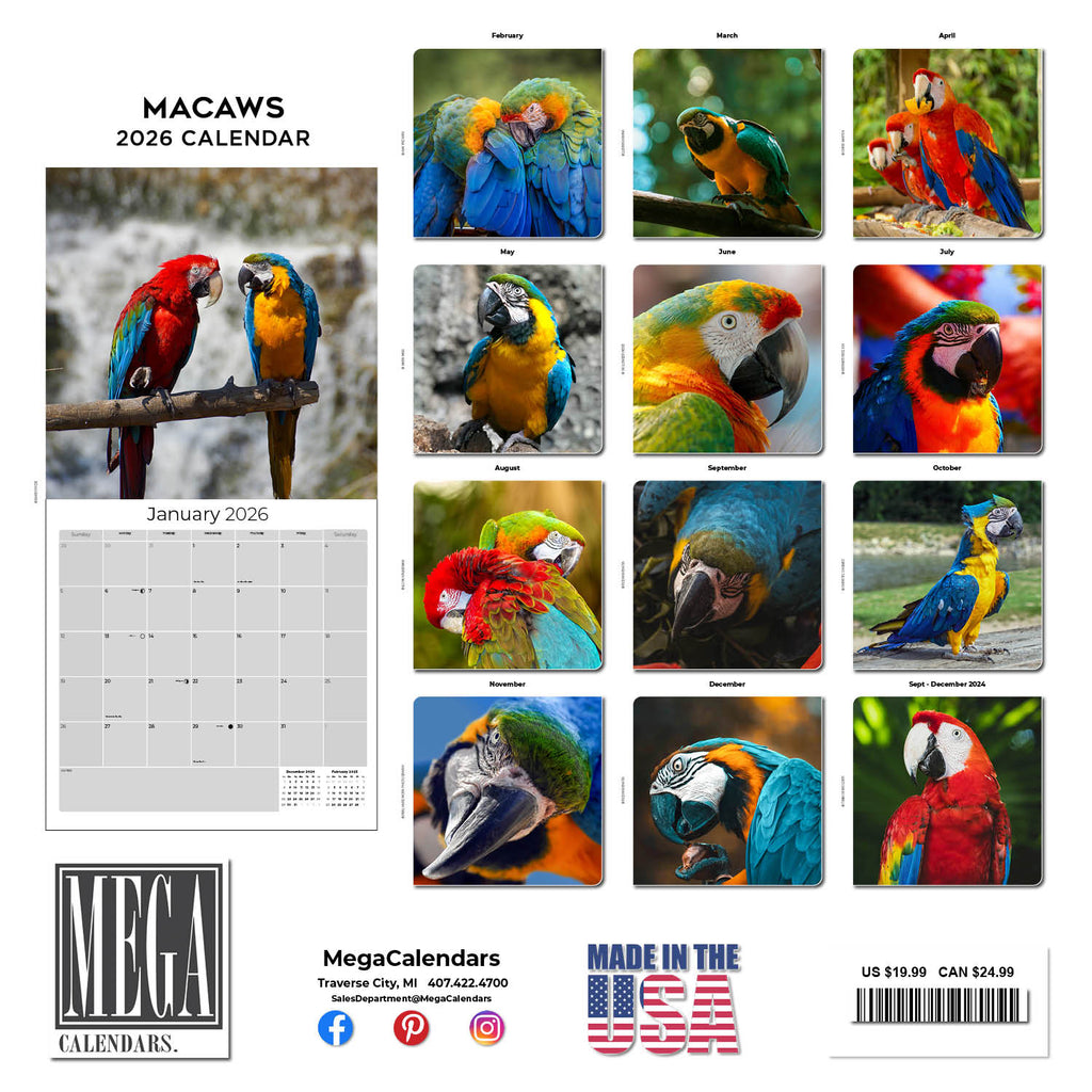 Macaws Wall Calendar 2026