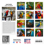 Macaws Wall Calendar 2026