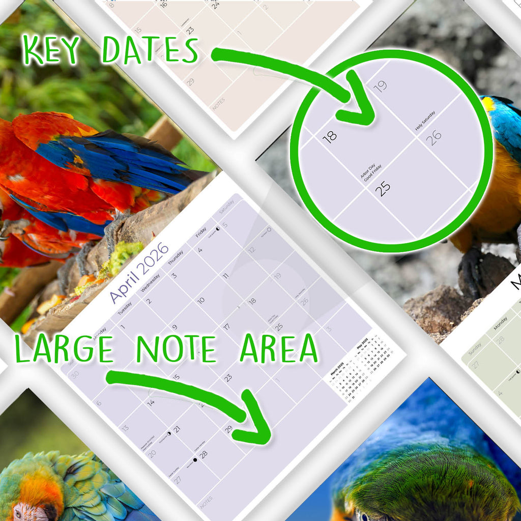 Macaws Wall Calendar 2026