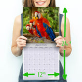 Macaws Wall Calendar 2026