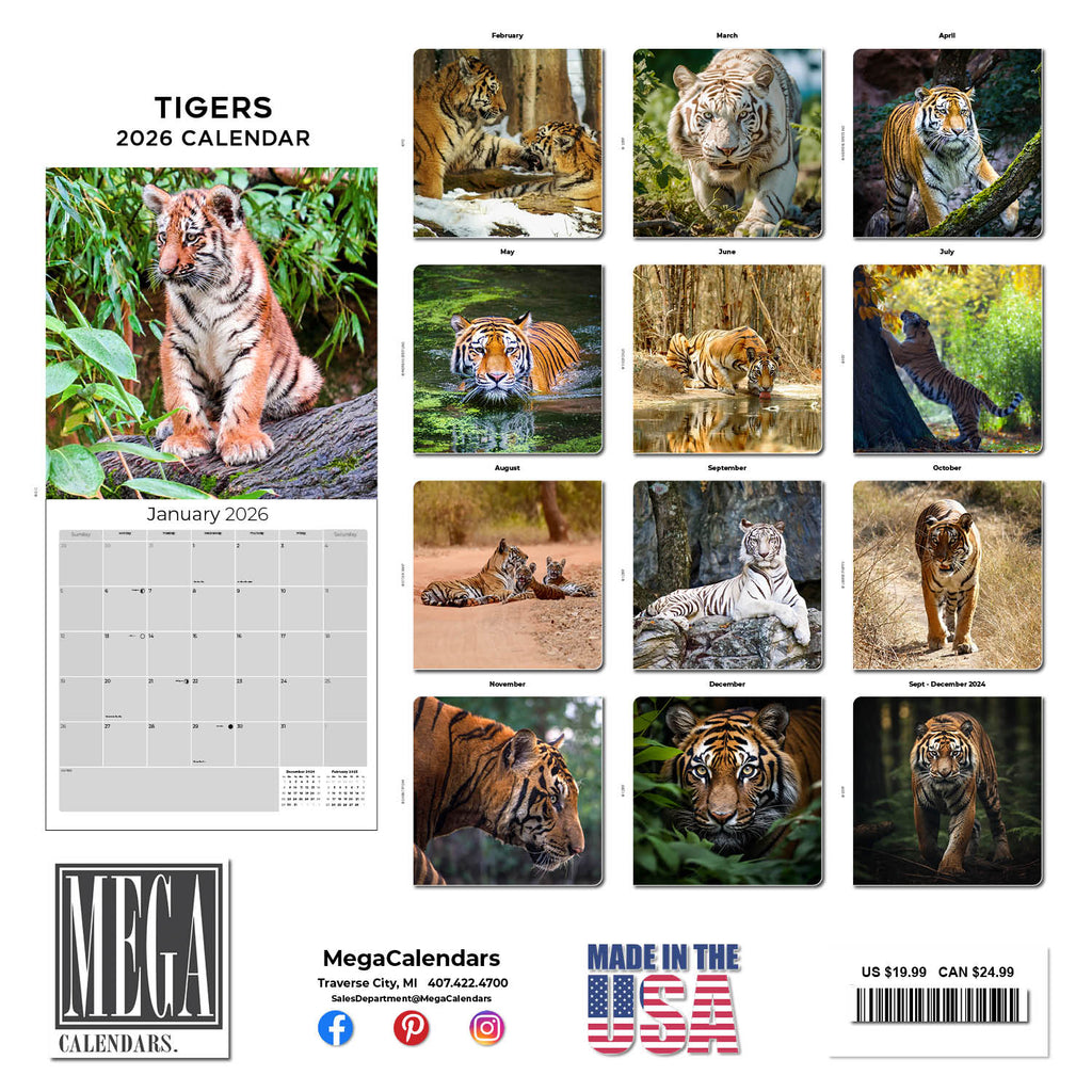 Tigers Wall Calendar 2026