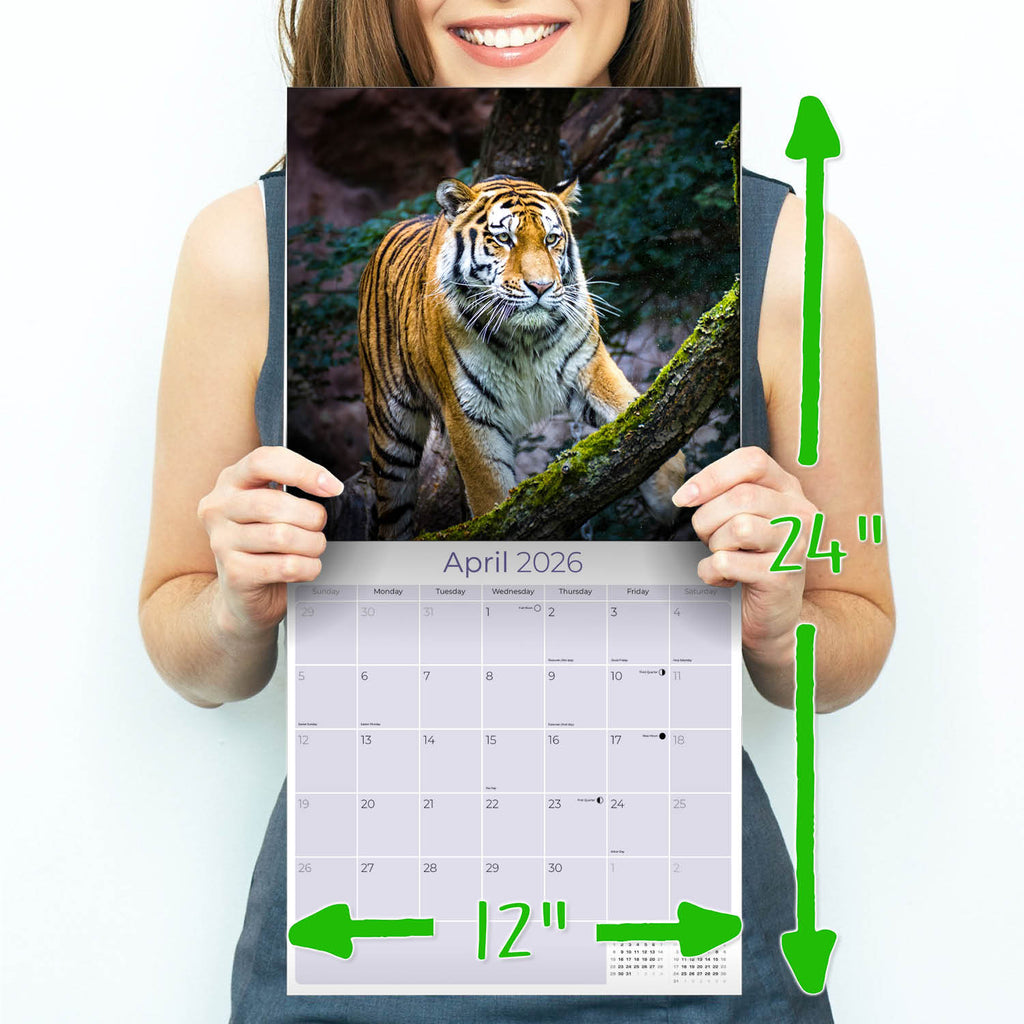 Tigers Wall Calendar 2026