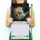 Tigers Wall Calendar 2026