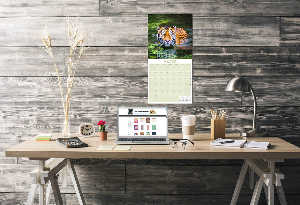 Tigers Wall Calendar 2026