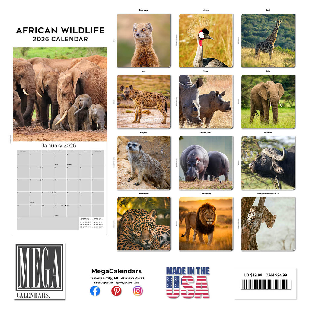 African Wildlife Wall Calendar 2026