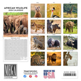 African Wildlife Wall Calendar 2026