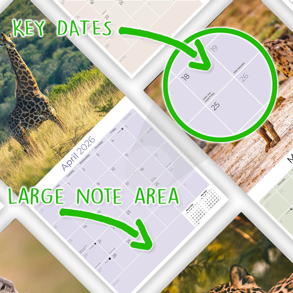 African Wildlife Wall Calendar 2026