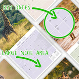 African Wildlife Wall Calendar 2026