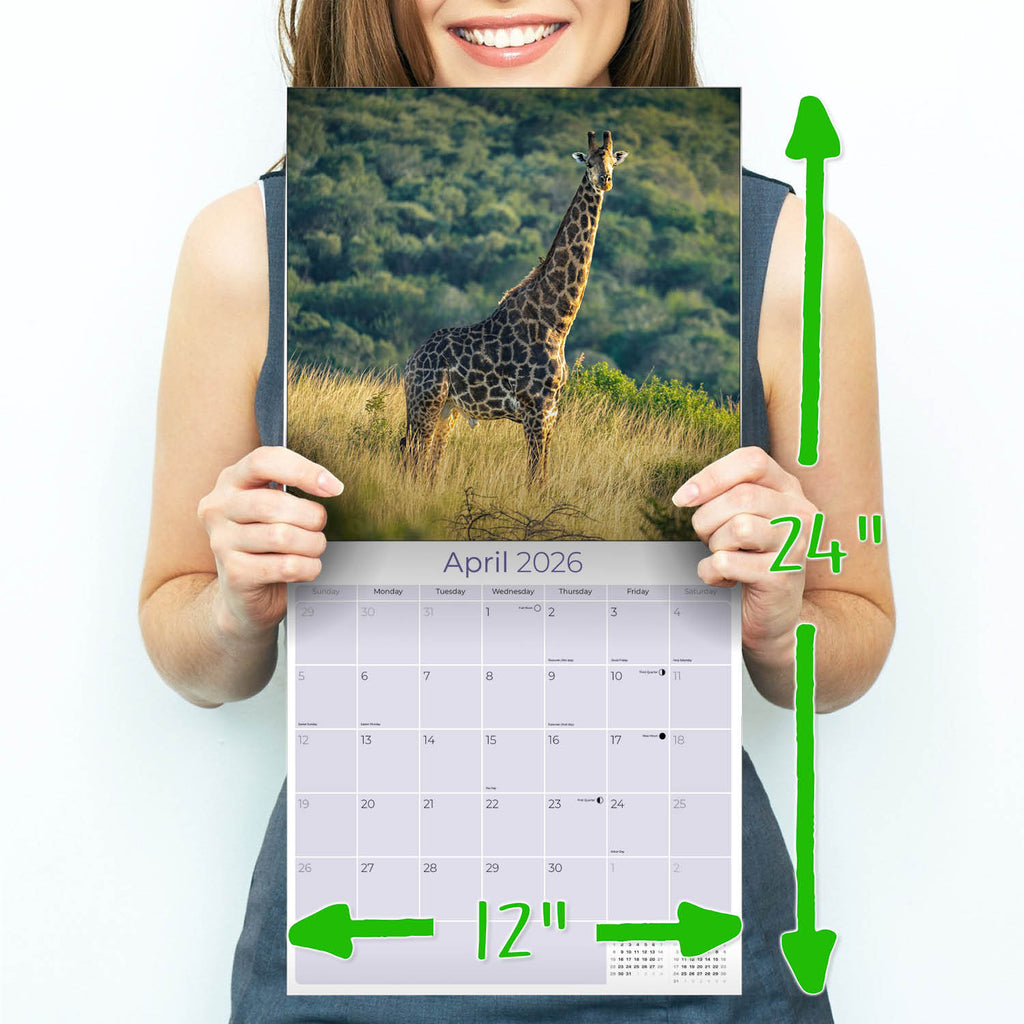 African Wildlife Wall Calendar 2026
