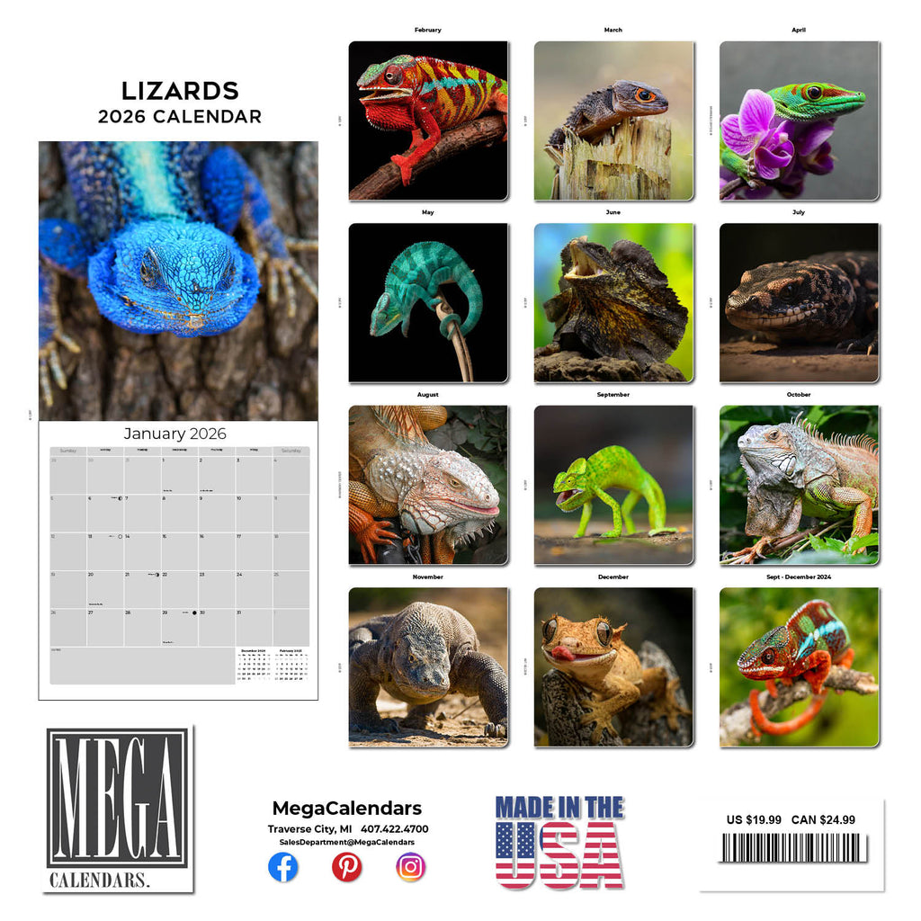 Lizards Wall Calendar 2026