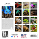 Lizards Wall Calendar 2026