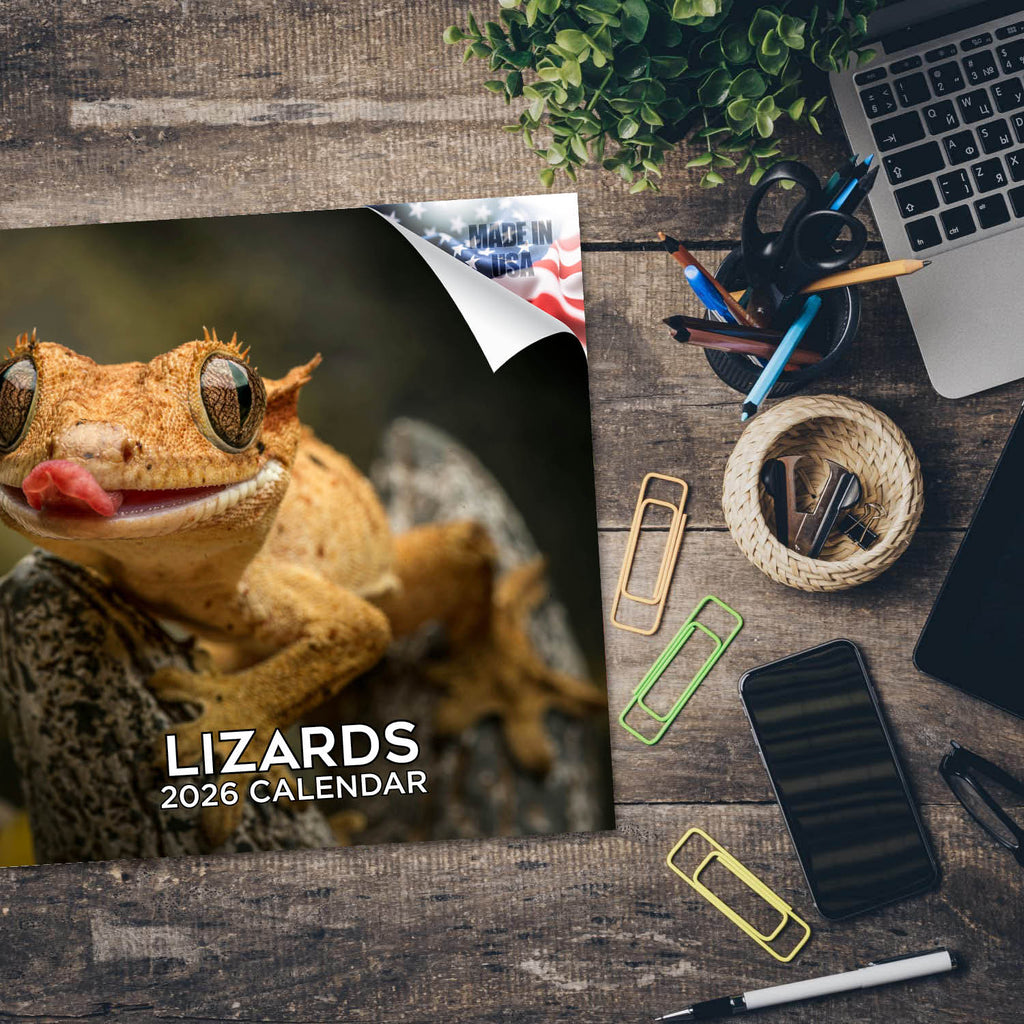 Lizards Wall Calendar 2026