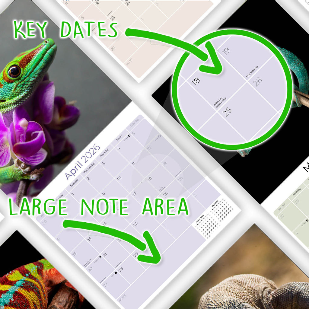 Lizards Wall Calendar 2026
