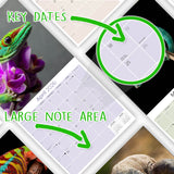 Lizards Wall Calendar 2026