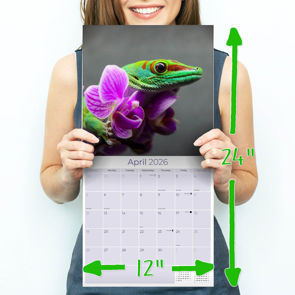 Lizards Wall Calendar 2026
