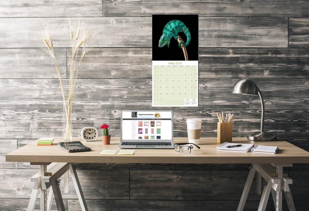 Lizards Wall Calendar 2026