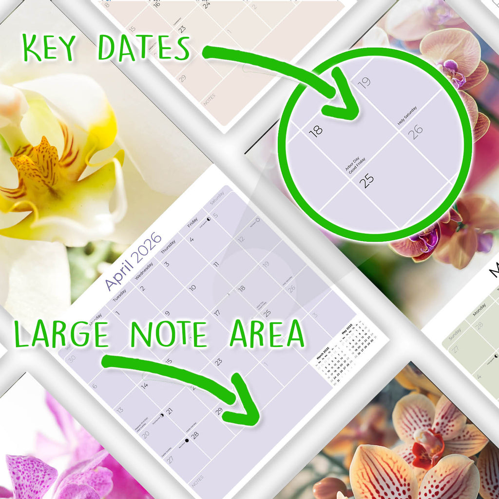 Orchids Wall Calendar 2026