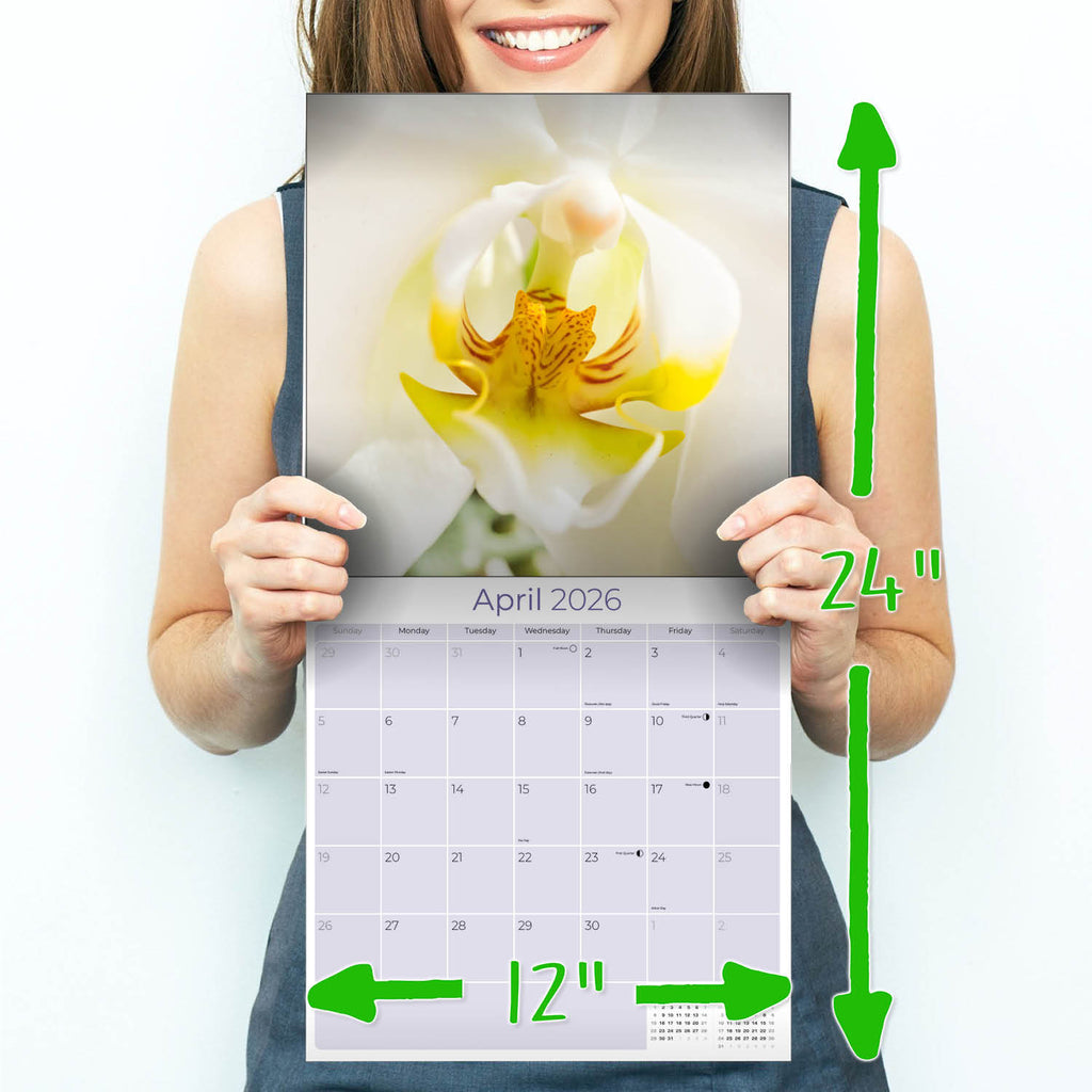 Orchids Wall Calendar 2026