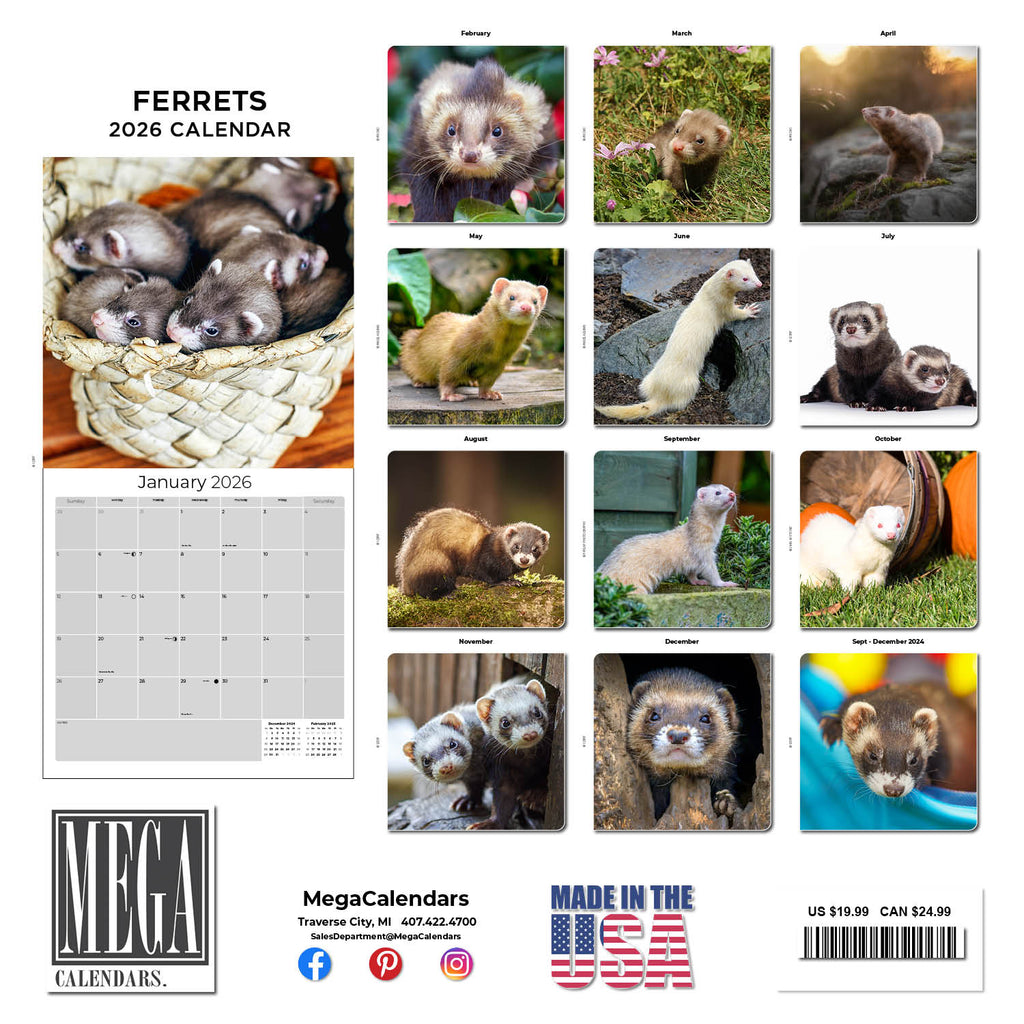Ferrets Wall Calendar 2026