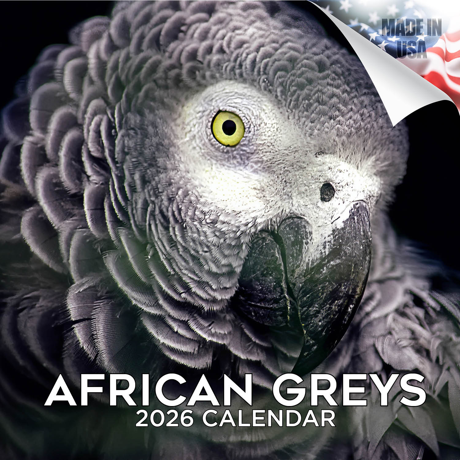 African Greys Wall Calendar 2026