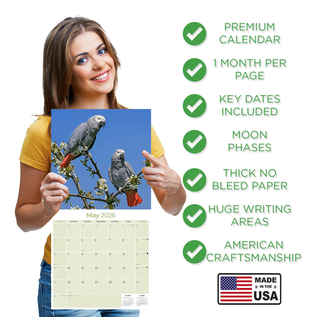 African Greys Wall Calendar 2026