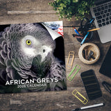 African Greys Wall Calendar 2026